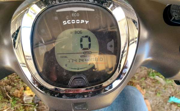 HONDA NEW SCOOPY FASHION