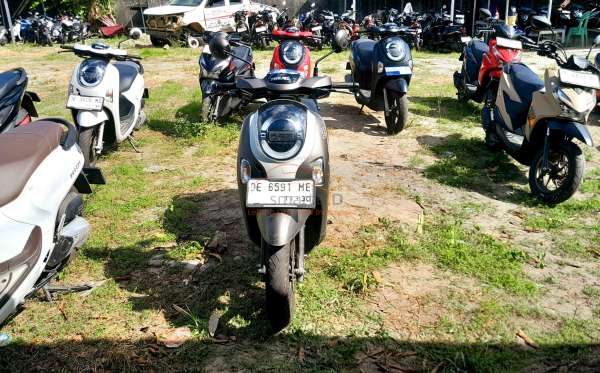 HONDA NEW SCOOPY FASHION