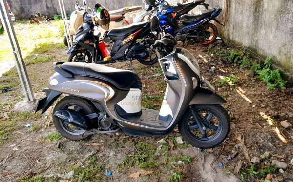 HONDA NEW SCOOPY FASHION