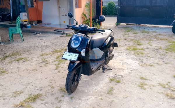HONDA  SCOOPY