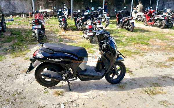 HONDA  SCOOPY