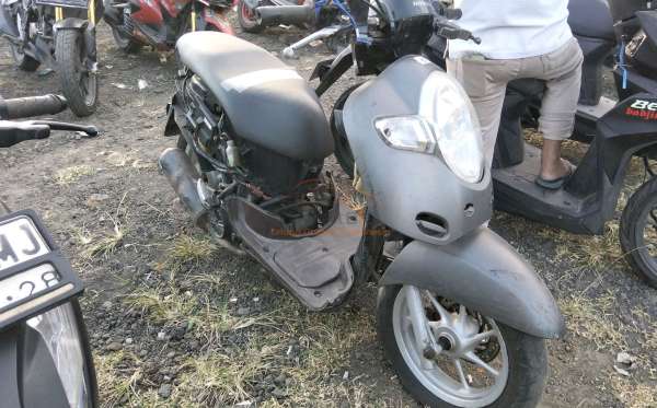 HONDA SCOOPY STYLISH