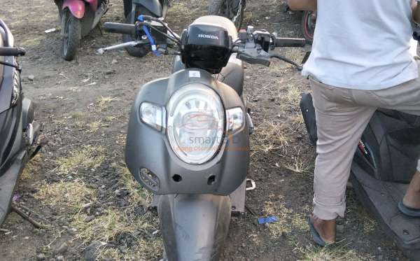 HONDA SCOOPY STYLISH