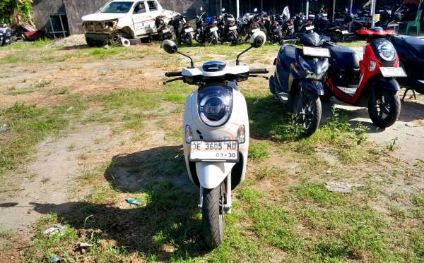 HONDA  SCOOPY