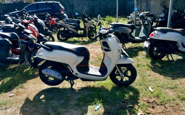 HONDA  SCOOPY