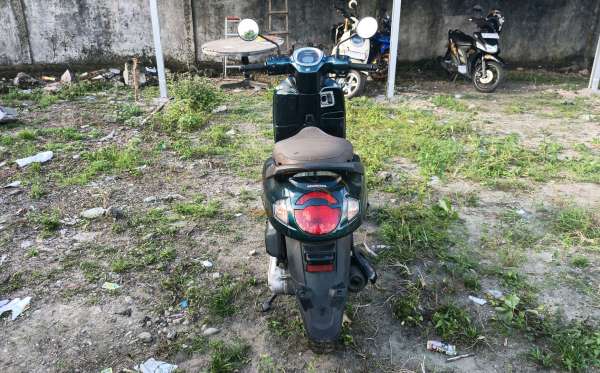 HONDA  SCOOPY