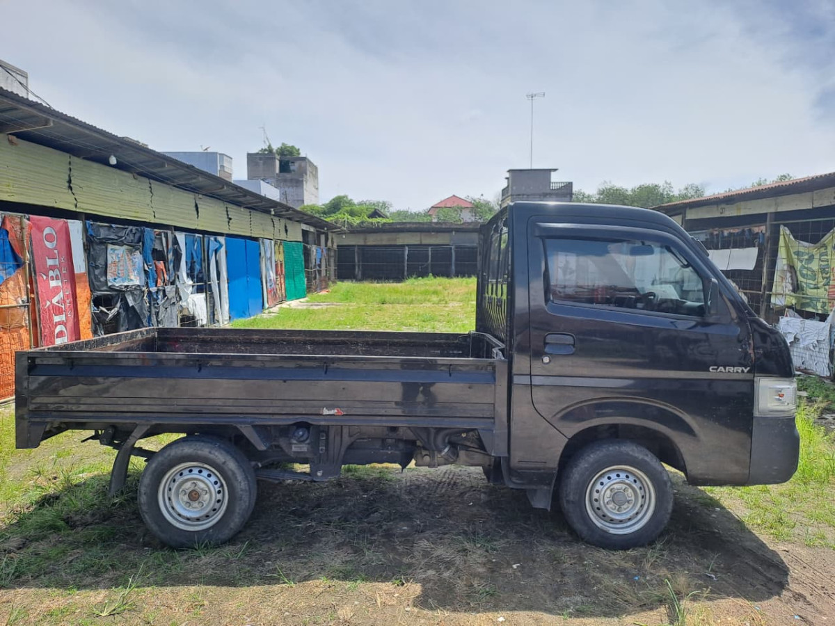 SUZUKI CARRY  PU
