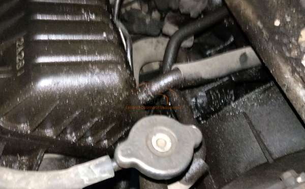 SUZUKI  ST 150