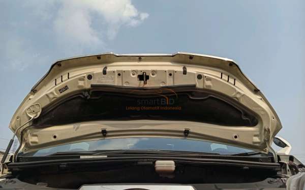 TOYOTA VELLFIRE ZG