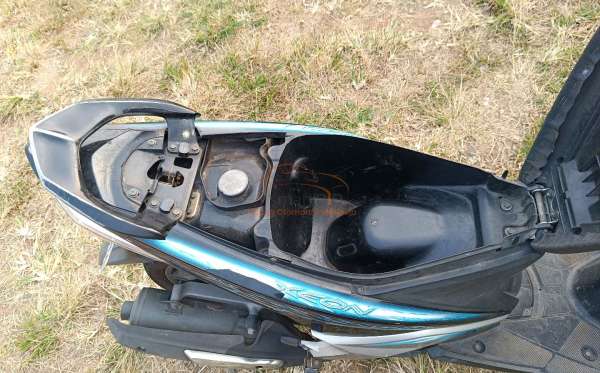 YAMAHA XEON
