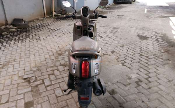 YAMAHA  FAZZIO