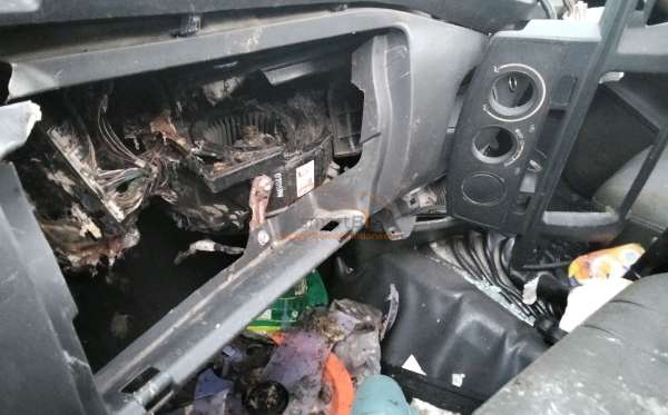 TOYOTA  HILUX  PICK UP