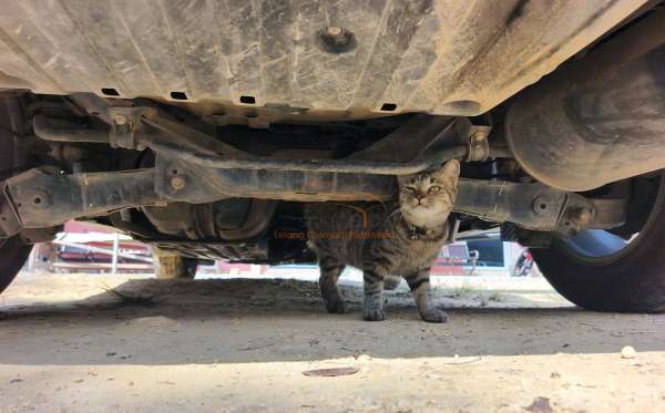 HONDA CR-V RM1 2WD 2.0