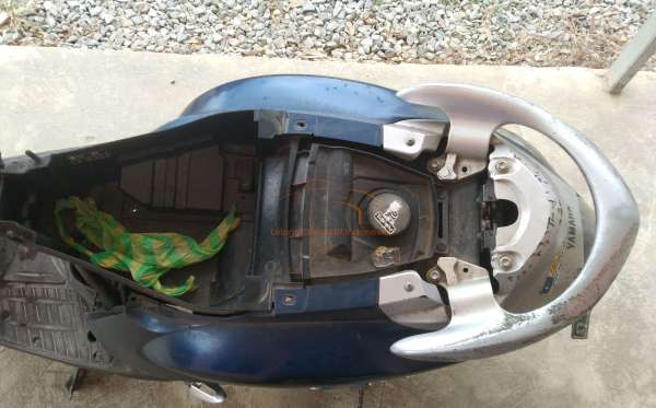 YAMAHA  MIO FINO