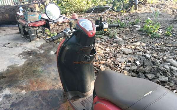 HONDA SCOOPY STYLISH