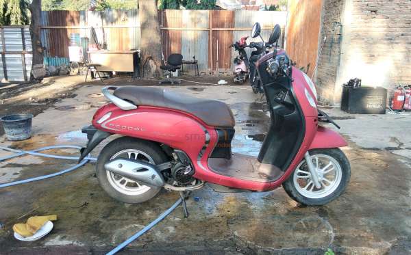 HONDA SCOOPY STYLISH