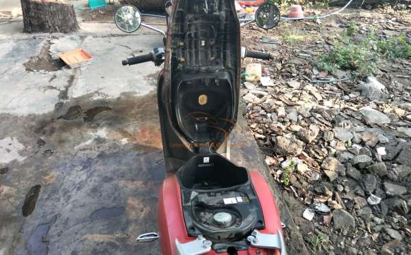 HONDA SCOOPY STYLISH