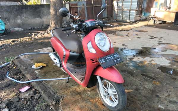 HONDA SCOOPY STYLISH