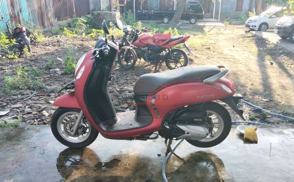 HONDA SCOOPY STYLISH