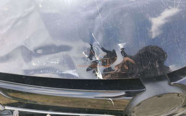 DAIHATSU SIGRA R