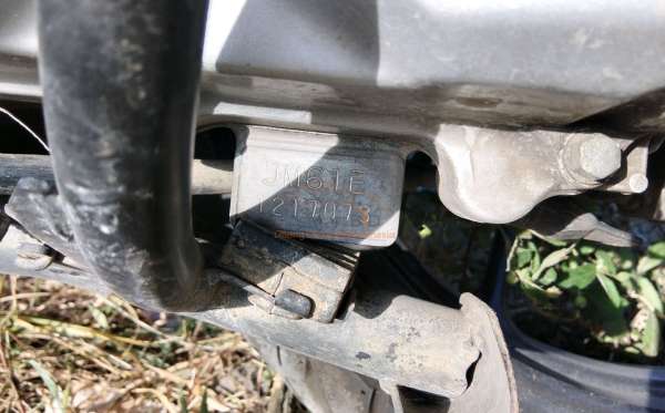 HONDA  GENIO