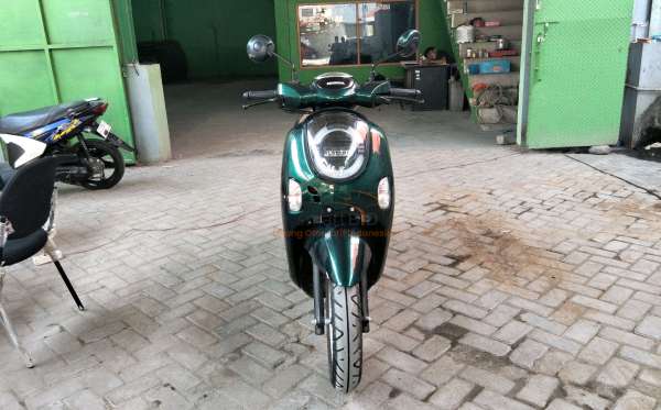 HONDA SCOOPY STYLISH