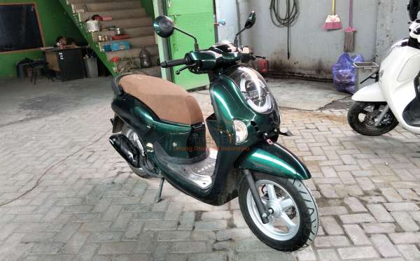 HONDA SCOOPY STYLISH
