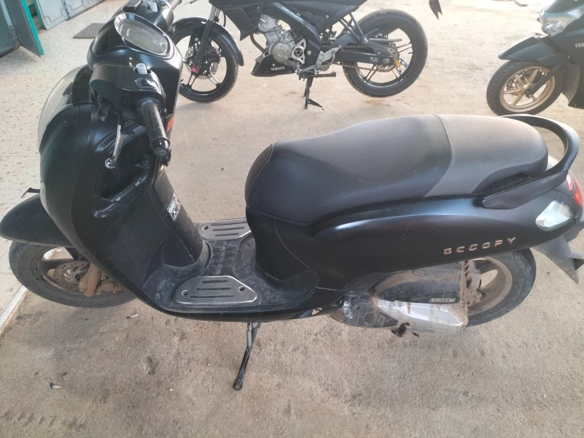 HONDA SCOOPY