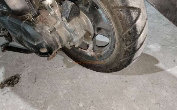 HONDA  SCOOPY