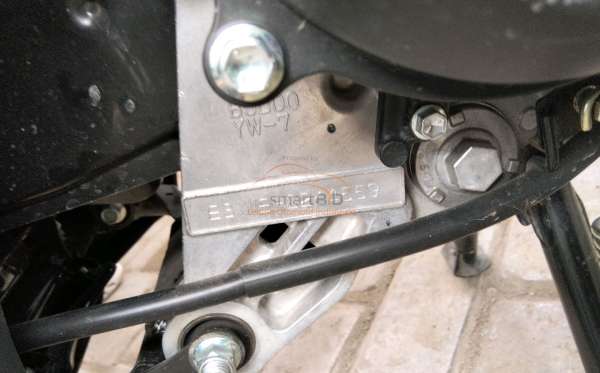 YAMAHA FREEGO