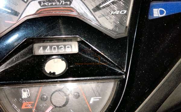YAMAHA  XEON