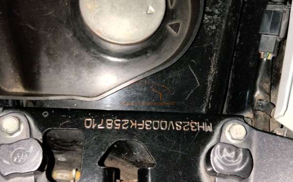 YAMAHA  XEON