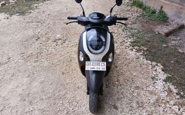 HONDA NEW SCOOPY FASHION