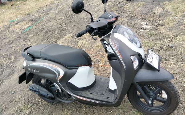 HONDA  SCOOPY