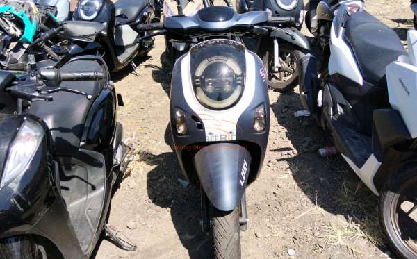 HONDA  SCOOPY