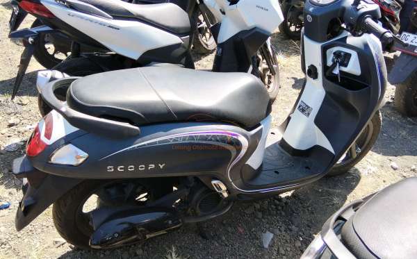 HONDA  SCOOPY