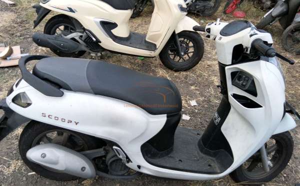 HONDA  SCOOPY
