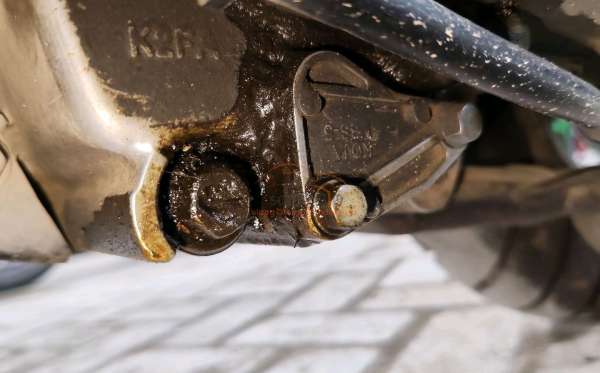 HONDA  SCOOPY