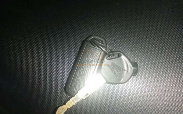 HONDA SCOOPY