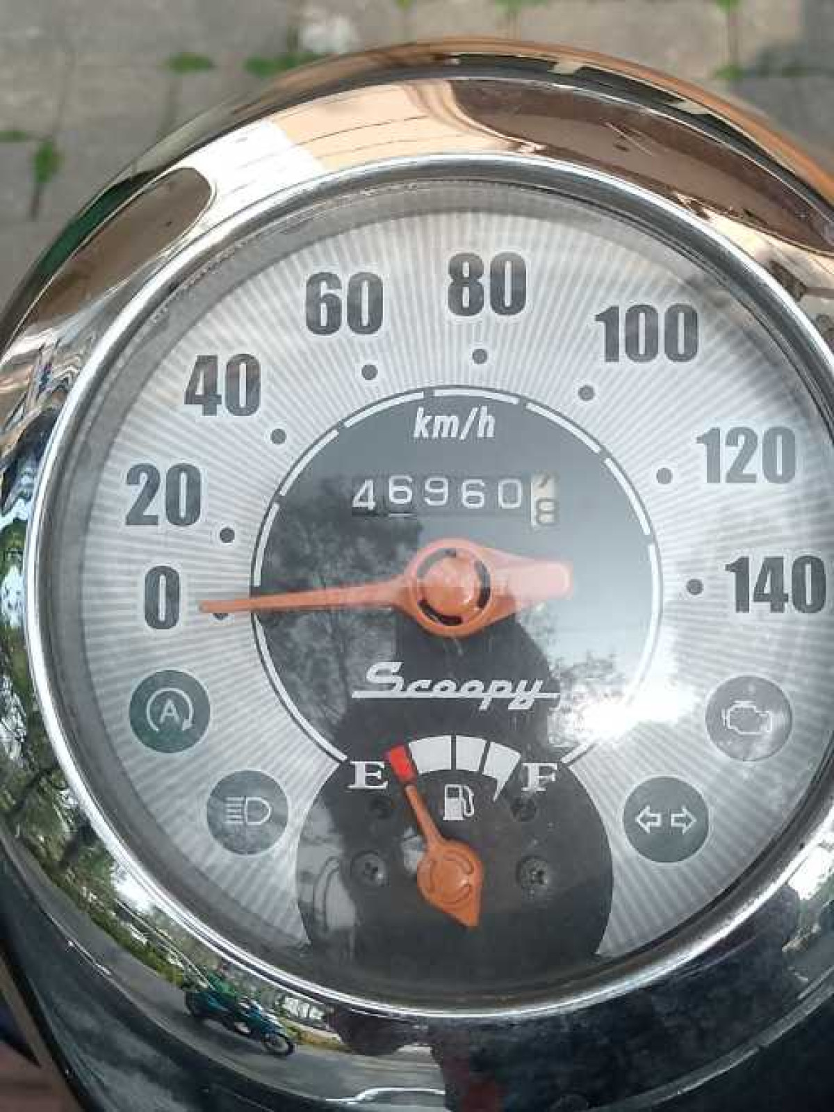 HONDA SCOOPY