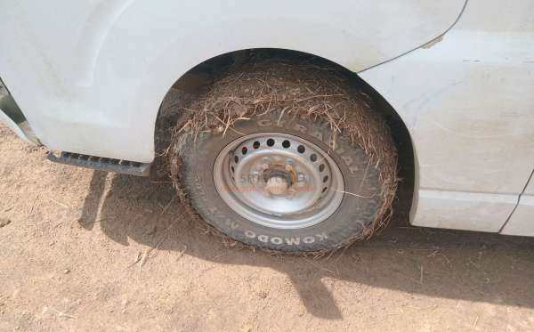 ISUZU PHR54U