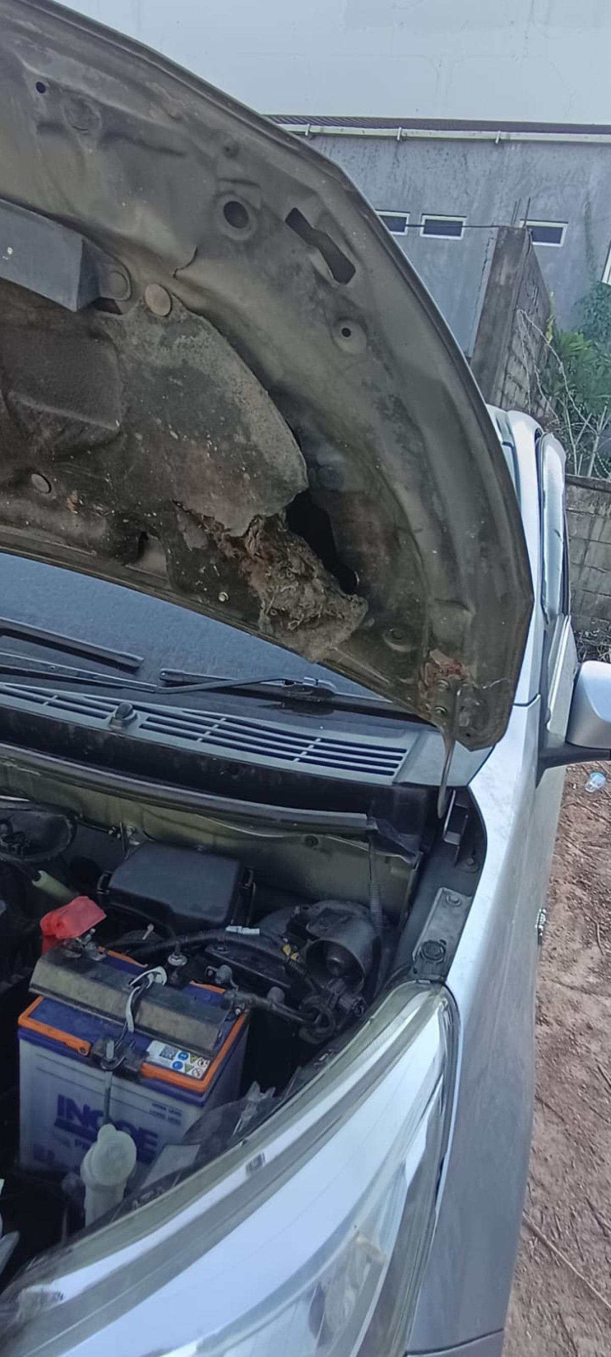 TOYOTA CALYA
