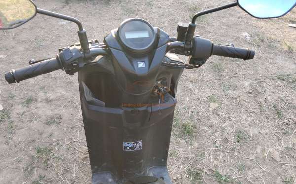 HONDA  GENIO