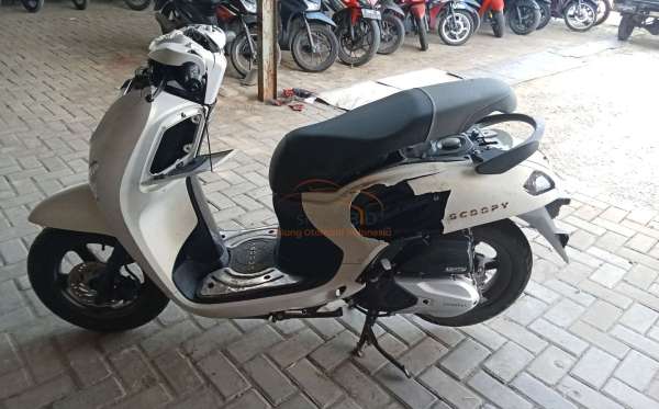 HONDA SCOOPY