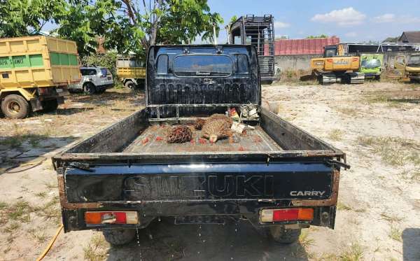 SUZUKI  CARRY  PU