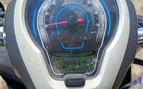 HONDA SCOOPY