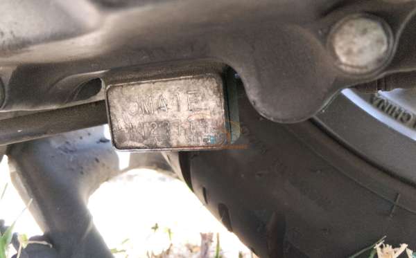 HONDA  GENIO