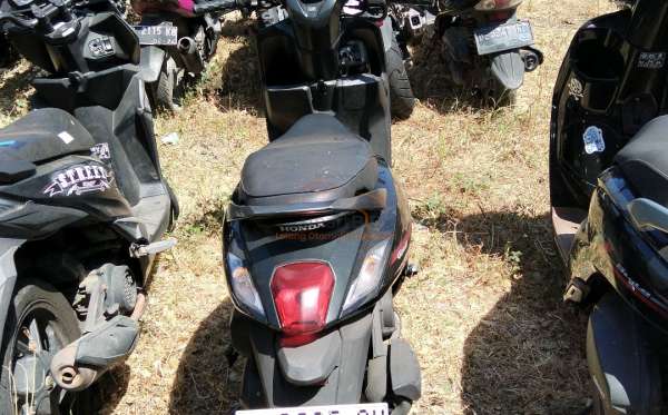 HONDA  GENIO