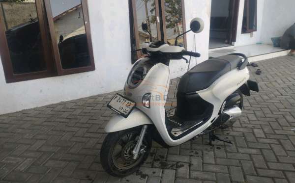 HONDA SCOOPY