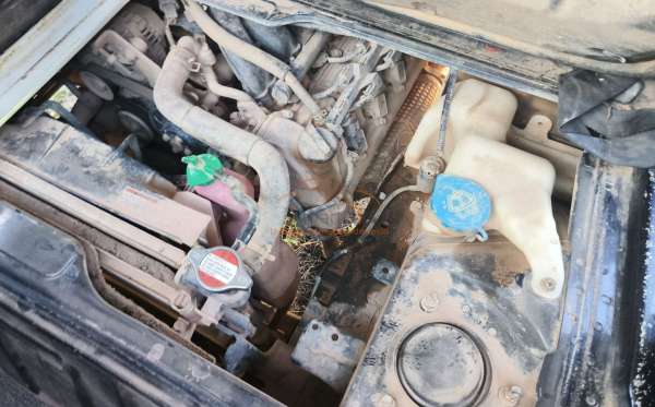 SUZUKI  CARRY  PU